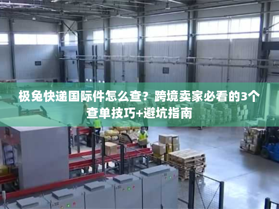 极兔快递国际件怎么查？跨境卖家必看的3个查单技巧+避坑指南