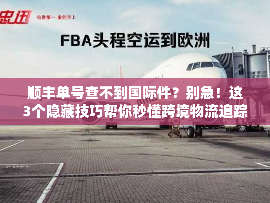 顺丰单号查不到国际件？别急！这3个隐藏技巧帮你秒懂跨境物流追踪门道