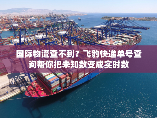 国际物流查不到？飞豹快递单号查询帮你把未知数变成实时数
