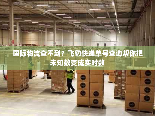 国际物流查不到？飞豹快递单号查询帮你把未知数变成实时数