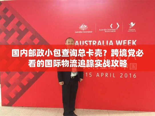 国内邮政小包查询总卡壳？跨境党必看的国际物流追踪实战攻略