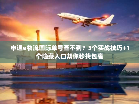 申通e物流国际单号查不到？3个实战技巧+1个隐藏入口帮你秒找包裹