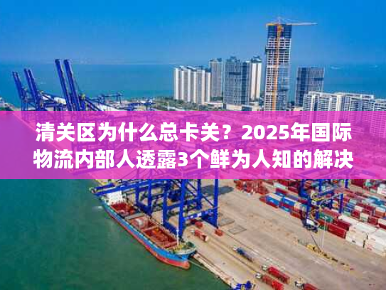 清关区为什么总卡关？2025年国际物流内部人透露3个鲜为人知的解决办法
