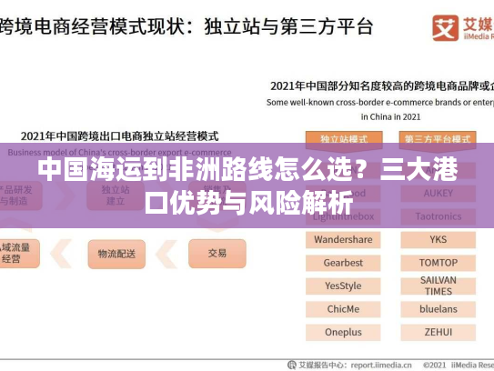 中国海运到非洲路线怎么选？三大港口优势与风险解析