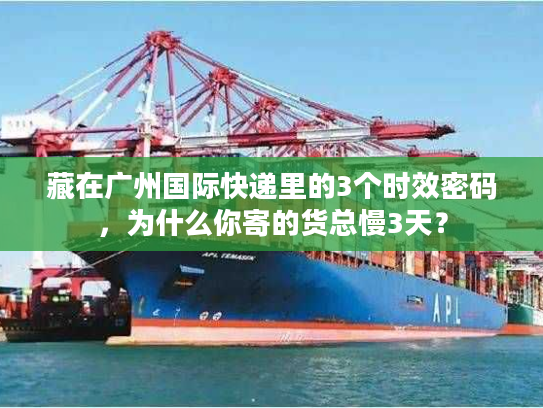 藏在广州国际快递里的3个时效密码,为什么你寄的货总慢3天? 藏在广州国际快递里的3个时效密码,为什么你寄的货总慢3天?
