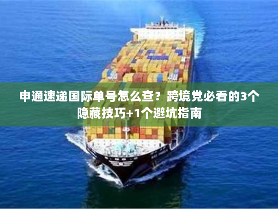 申通速递国际单号怎么查?跨境党必看的3个隐藏技巧+1个避坑指南 申通速递国际单号怎么查?跨境党必看的3个隐藏技巧+1个避坑指南