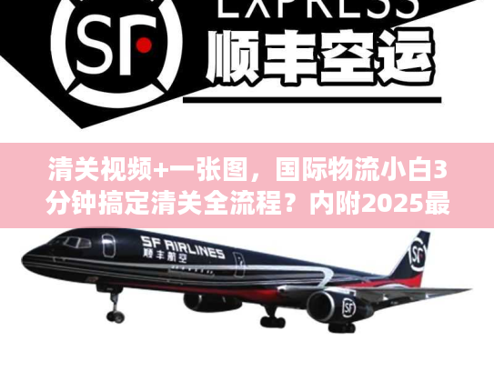 清关视频+一张图，国际物流小白3分钟搞定清关全流程？内附2025最新避坑指南