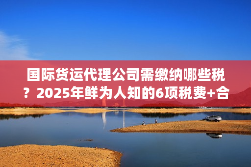 国际货运代理公司需缴纳哪些税？2025年鲜为人知的6项税费+合规技巧