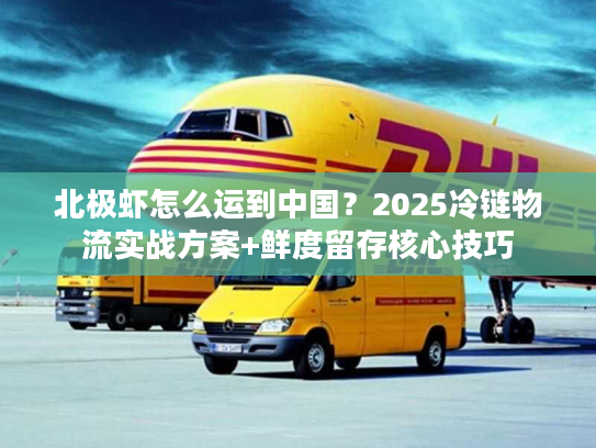 北极虾怎么运到中国？2025冷链物流实战方案+鲜度留存核心技巧