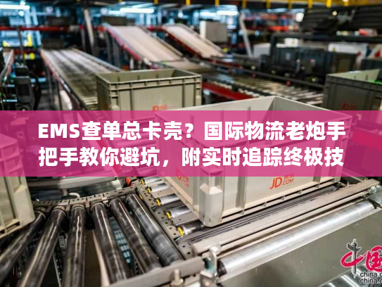 EMS查单总卡壳？国际物流老炮手把手教你避坑，附实时追踪终极技巧