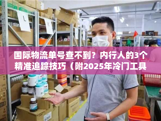 国际物流单号查不到？内行人的3个精准追踪技巧（附2025年冷门工具清单）