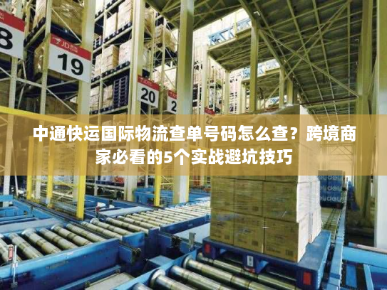 中通快运国际物流查单号码怎么查？跨境商家必看的5个实战避坑技巧