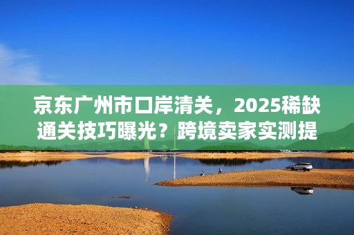 京东广州市口岸清关，2025稀缺通关技巧曝光？跨境卖家实测提速40%的秘密