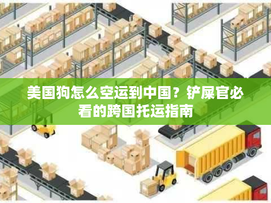 美国狗怎么空运到中国？铲屎官必看的跨国托运指南