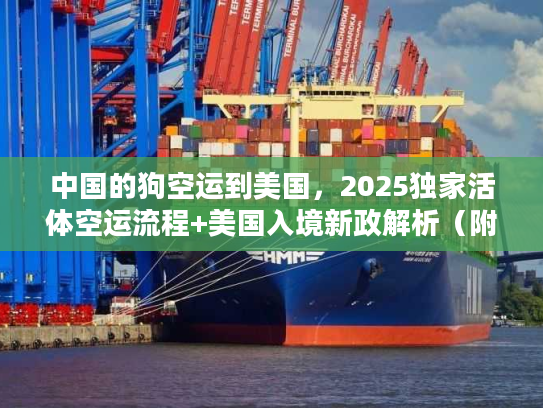 中国的狗空运到美国，2025独家活体空运流程+美国入境新政解析（附真实案例）