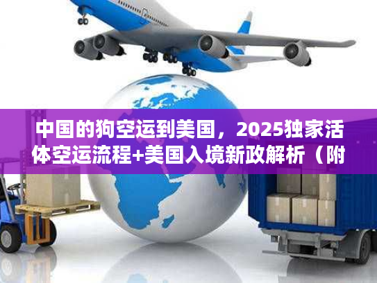 中国的狗空运到美国，2025独家活体空运流程+美国入境新政解析（附真实案例）