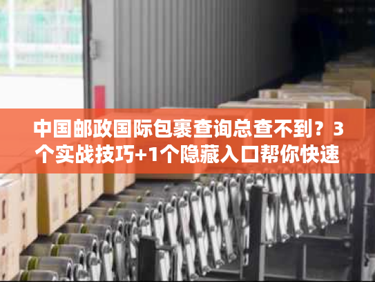 中国邮政国际包裹查询总查不到？3个实战技巧+1个隐藏入口帮你快速定位