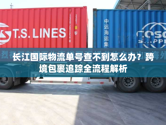 长江国际物流单号查不到怎么办?跨境包裹追踪全流程解析 长江国际物流单号查不到怎么办?跨境包裹追踪全流程解析