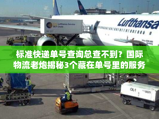 标准快递单号查询总查不到？国际物流老炮揭秘3个藏在单号里的服务真相