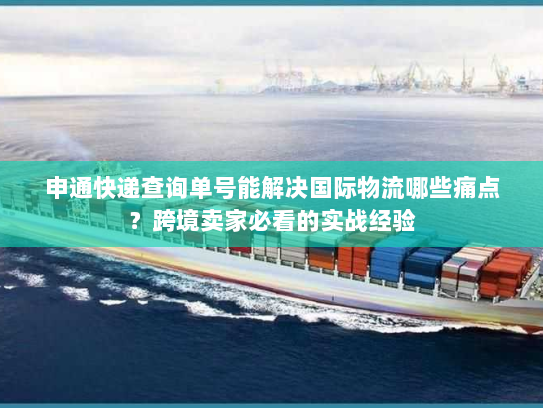 申通快递查询单号能解决国际物流哪些痛点？跨境卖家必看的实战经验