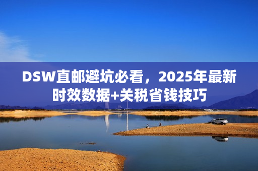 DSW直邮避坑必看，2025年最新时效数据+关税省钱技巧