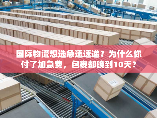 国际物流想选急速速递?为什么你付了加急费,包裹却晚到10天? 国际物流想选急速速递?为什么你付了加急费,包裹却晚到10天?