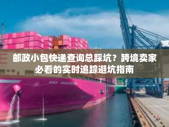 邮政小包快递查询总踩坑？跨境卖家必看的实时追踪避坑指南