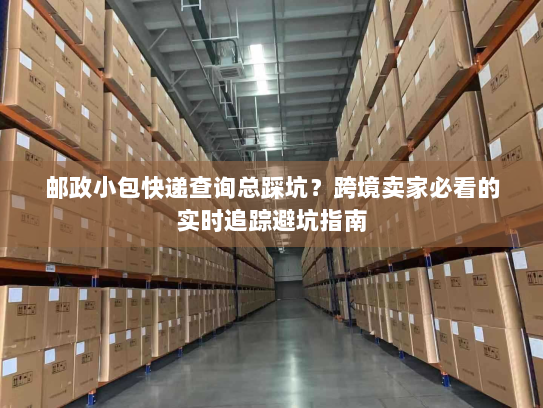邮政小包快递查询总踩坑？跨境卖家必看的实时追踪避坑指南
