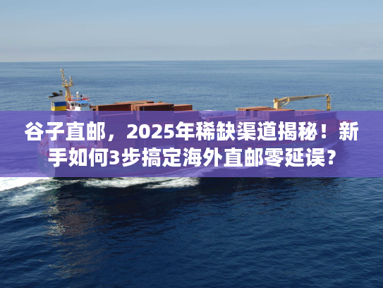 谷子直邮，2025年稀缺渠道揭秘！新手如何3步搞定海外直邮零延误？
