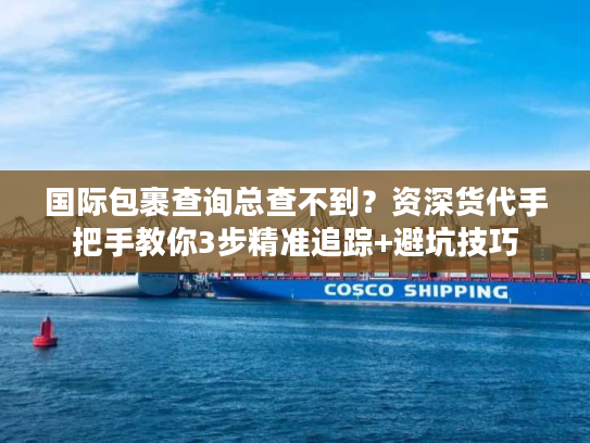 国际包裹查询总查不到？资深货代手把手教你3步精准追踪+避坑技巧