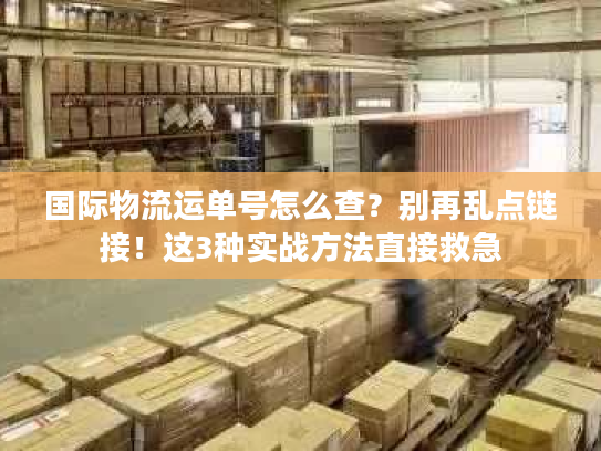 国际物流运单号怎么查？别再乱点链接！这3种实战方法直接救急