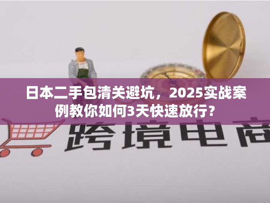 日本二手包清关避坑，2025实战案例教你如何3天快速放行？