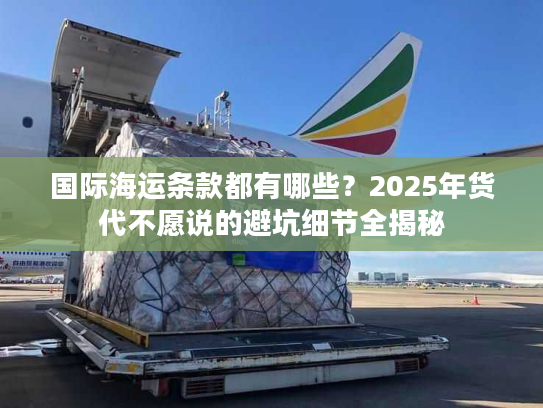 国际海运条款都有哪些？2025年货代不愿说的避坑细节全揭秘