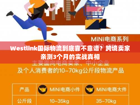 Westlink国际物流到底靠不靠谱？跨境卖家亲测3个月的实战真相