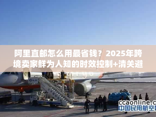 阿里直邮怎么用最省钱？2025年跨境卖家鲜为人知的时效控制+清关避坑实战技巧