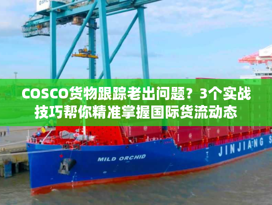 COSCO货物跟踪老出问题?3个实战技巧帮你精准掌握国际货流动态 COSCO货物跟踪老出问题?3个实战技巧帮你精准掌握国际货流动态