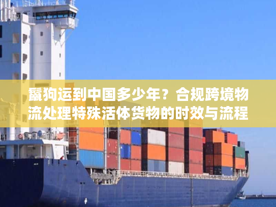 鬣狗运到中国多少年？合规跨境物流处理特殊活体货物的时效与流程