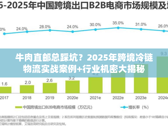 牛肉直邮总踩坑？2025年跨境冷链物流实战案例+行业机密大揭秘