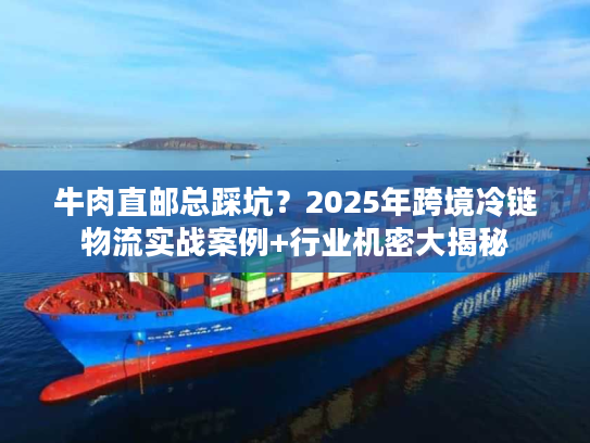 牛肉直邮总踩坑？2025年跨境冷链物流实战案例+行业机密大揭秘