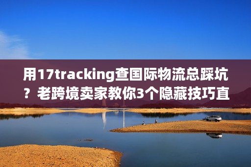 用17tracking查国际物流总踩坑？老跨境卖家教你3个隐藏技巧直接避坑