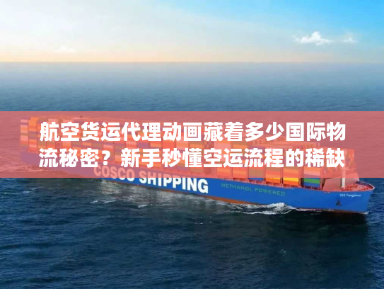 航空货运代理动画藏着多少国际物流秘密?新手秒懂空运流程的稀缺干货! 航空货运代理动画藏着多少国际物流秘密?新手秒懂空运流程的稀缺干货!