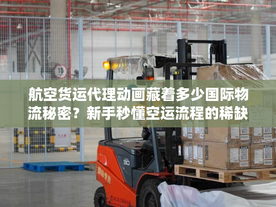 航空货运代理动画藏着多少国际物流秘密？新手秒懂空运流程的稀缺干货！