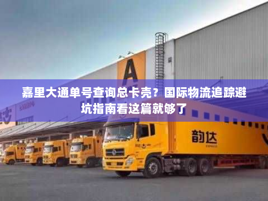 嘉里大通单号查询总卡壳？国际物流追踪避坑指南看这篇就够了