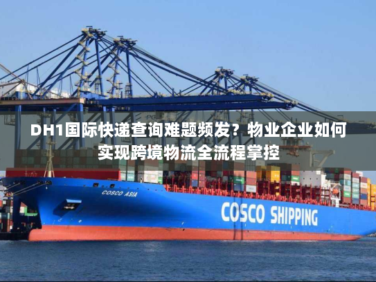 DH1国际快递查询难题频发？物业企业如何实现跨境物流全流程掌控