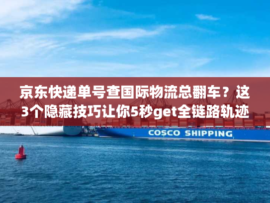 京东快递单号查国际物流总翻车？这3个隐藏技巧让你5秒get全链路轨迹