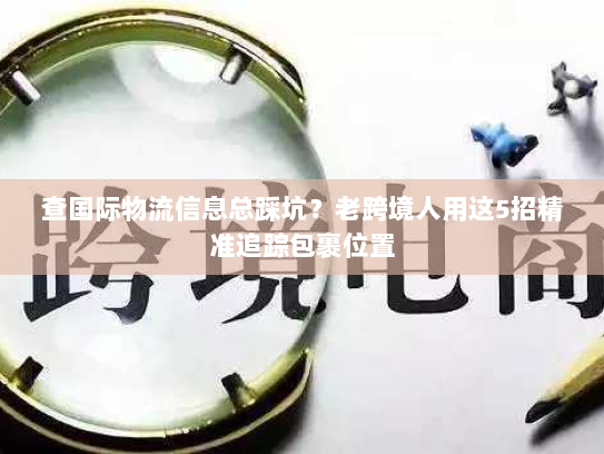 查国际物流信息总踩坑?老跨境人用这5招精准追踪包裹位置 查国际物流信息总踩坑?老跨境人用这5招精准追踪包裹位置