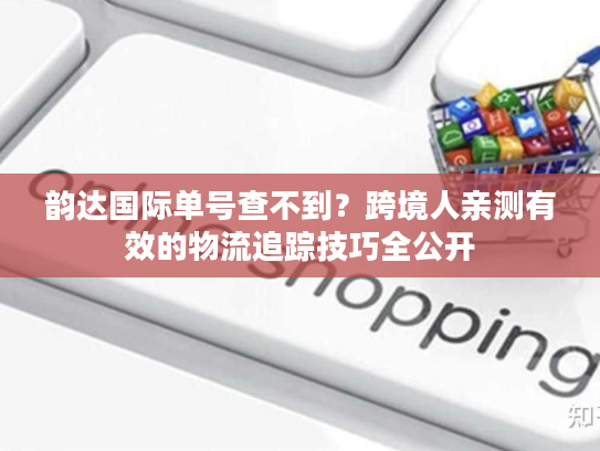 韵达国际单号查不到？跨境人亲测有效的物流追踪技巧全公开