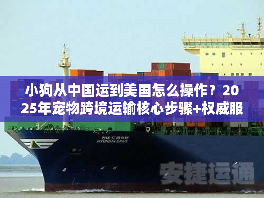 小狗从中国运到美国怎么操作？2025年宠物跨境运输核心步骤+权威服务商推荐