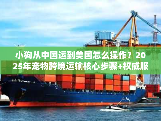 小狗从中国运到美国怎么操作？2025年宠物跨境运输核心步骤+权威服务商推荐
