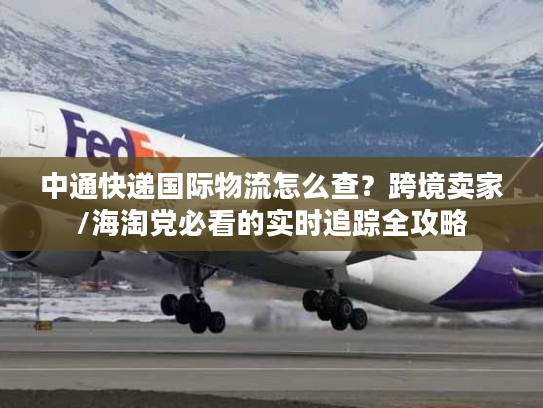 中通快递国际物流怎么查?跨境卖家/海淘党必看的实时追踪全攻略 中通快递国际物流怎么查?跨境卖家/海淘党必看的实时追踪全攻略